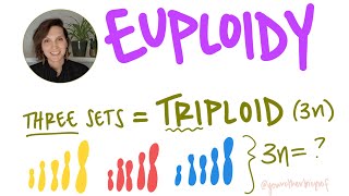 What is euploidy What is haploid diploid triploid n 2n 3n College Biology AP Biology [upl. by Ennovehs]