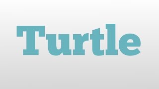 Turtle meaning and pronunciation [upl. by Aitnohs]