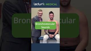 Discover Bronchovesicular Breath Sounds 🫁 doctor usmle [upl. by Yk104]