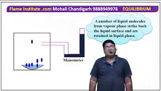 Equilibrium in Chemistry Introduction [upl. by Crin]