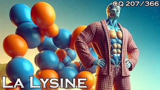 Acide Aminé 16  La Lysine  CQ207 [upl. by Aketal]