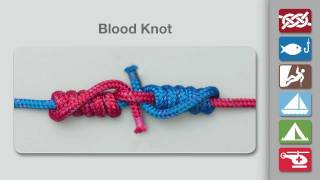 How to Tie a Blood Knot  Fishing Knots [upl. by Niassuh430]