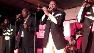 Msondo Ngoma music band live in action Michuzi Blog [upl. by Katine]