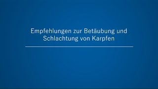 Empfehlungen zur Betäubung und Schlachtung von Karpfen [upl. by Annuaerb]