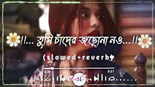 Tumi Chader Jochona slowedreverb Bangla Mashup Lofi Song [upl. by Victoir]