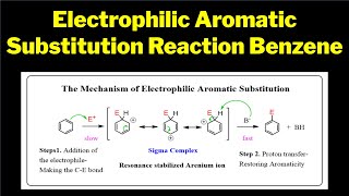 Electrophilic Aromatic Substitution Reaction of Benzene Mechanism Benzenes Electrophilic Dance [upl. by Daffi141]