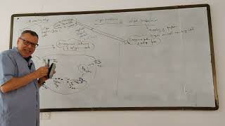 Antigen processing amp presentation [upl. by Hamlet]