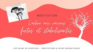 Méditation chakra racine 💮 MULADHARA 💮 Ancrage et stabilité [upl. by Christel]