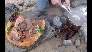 A great day foraging and wild cooking on a Pembrokeshire beach [upl. by Aramot]