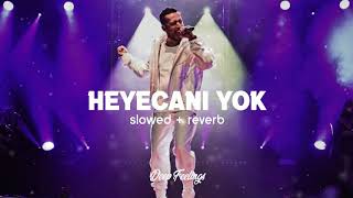 Gazapizm  Heyecanı Yok Slowed  Reverb [upl. by Akiehs]