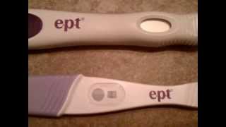 EPT Early Pregnancy Tests Review Clip [upl. by Gittel]