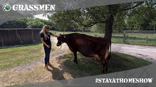 GRASSMEN StayAtHomeShow  Livestock with Kirstie  Clandeboye Estate [upl. by Karolina834]