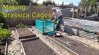 Alans Allotment 41 Making brassica cages planting Winter crops in the no dig beds [upl. by Orazio306]