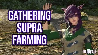 FFXIV 235 0402 Mining  Botanist Supra Farming Guide [upl. by Atinyl842]