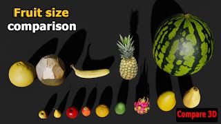 Fruits Size Comparison  Smallest to Largest Fruits [upl. by Segal]