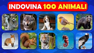 Hai 3 Secondi Per Indovinare 100 Animali [upl. by Enneira]