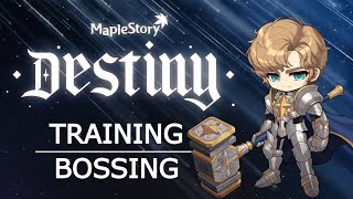 MapleStory Paladin Bossing amp Training Guide [upl. by Enohpets67]