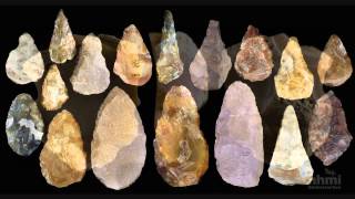 Stone Tool Technology of Our Human Ancestors — HHMI BioInteractive Video [upl. by Riorsson]