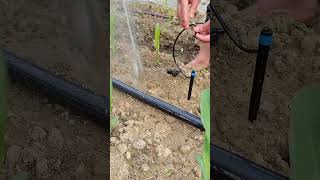 sprinkler valve water sprinkler system raft sprinkler shorts ytshorts field agriculture soil [upl. by Ellebanna]