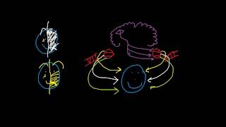 Bells Palsy vs Upper Motor Neuron Lesion [upl. by Niltac]