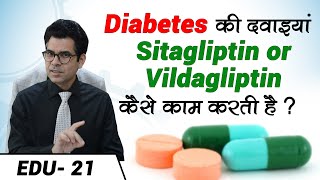 How does Diabetes Drugs work  Drugs Mechanism and Uses  Diabexy EDU 21 [upl. by Studnia]