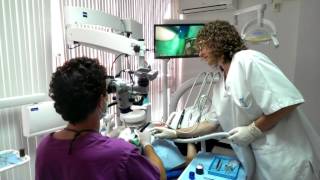 Endodoncia con microscopio dental [upl. by Atinnor]