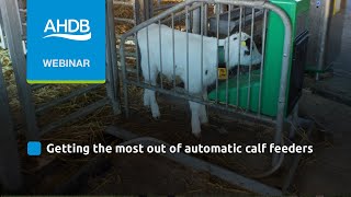 Getting the most from automatic calf feeders [upl. by Aracot]