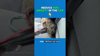 How To Reduce Dog Anxiety During Car Rides doganxiety dogtrainer dogtraining [upl. by Essirahs]