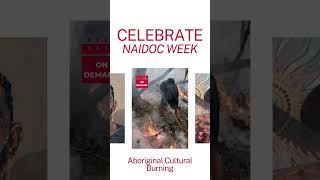 NAIDOC Week  NAIDOC Portraits  Aboriginal Cultural Burning  Gregg Dreise [upl. by Odnama917]