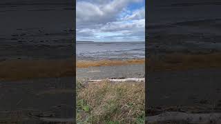 Baie de Rimouski sentier du littoral nature fleuvestlaurent trekking [upl. by Louth783]