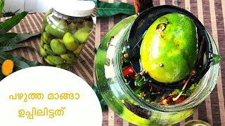 പഴുത്ത മാങ്ങാ ഉപ്പിലിട്ടത്Ripe Mangoes in BrineUPPILITTA MANGAChandrakaran Mango [upl. by Adnalahs]