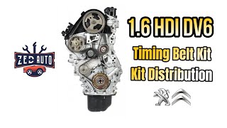 Peugeot Partner 16 HDI DV6 Timing Belt Replacement [upl. by Aleirbag656]