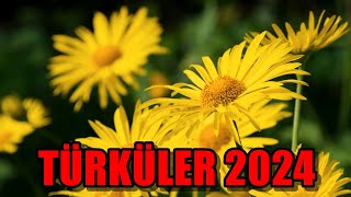 TÜRKÜLER 2024  TÜRK HALK MÜZİĞİ ensevilentürküler [upl. by Magda979]