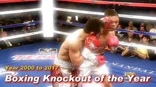 Boxing Knockout of the Year 2000 to 2017 Highlights [upl. by Lyda]