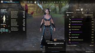 The Lazy Warden PvP Build  Elder Scrolls Online Update 41 [upl. by Adlig141]