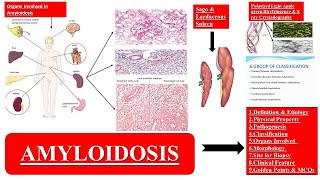 Amyloidosis Made Easy [upl. by Bernardina49]