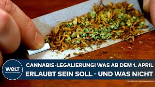 DEUTSCHLAND CannabisLegalisierung Was ab 1 April erlaubt sein soll – und was nicht [upl. by Tullus]