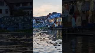 Shikara at Srinagar Dal lake shikara dallake srinagar jammukashmir [upl. by Raual41]