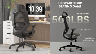 FLEXISPOT OC6 Office Chair  Assembly and First Impressions [upl. by Dalton804]