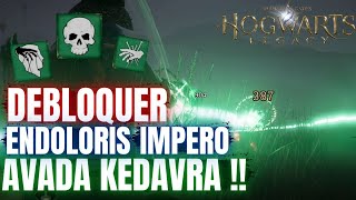 COMMENT DEBLOQUER AVADA KEDAVRA IMPERO amp ENDOLORIS ⚡ GUIDE HOGWARTS LEGACY SORTILEGE IMPARDONABLE [upl. by Latrice13]