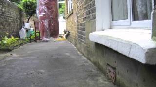 Penetrating damp ground level [upl. by Yecies950]