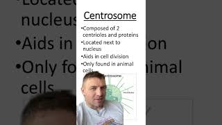 Centrosome vs Centrioles [upl. by Atrahc]