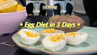 5746kg vlog  EGG DIET again for 3 DAYS [upl. by Keldah484]