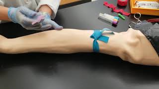 Phlebotomy Venipuncture Procedure [upl. by Eissej]