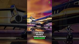 Inside the Extravagant World of Donald Trumps Private Jet [upl. by Lowell]