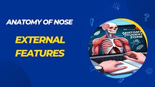 Anatomy of Nose External Features Anatomy Student Zone [upl. by Nosila]