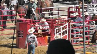 Steer Wrestling Fail [upl. by Kcorb]