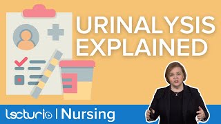 What A Urinalysis Can Tell You Visual amp Chemical Exam  Lecturio Nursing [upl. by Siuluj410]