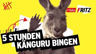 Alle Folgen von Neues vom Känguru reloaded  5 Stunden  MarcUwe Kling  KänguruChronikenStorys [upl. by Byrdie]