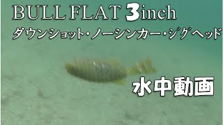 デプス ブルフラット３インチ 水中動画 ダウンショットジグヘッドノーシンカー Deps BULLFLAT 3inch [upl. by Ahslek]